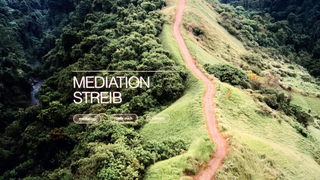 Mediation Streib